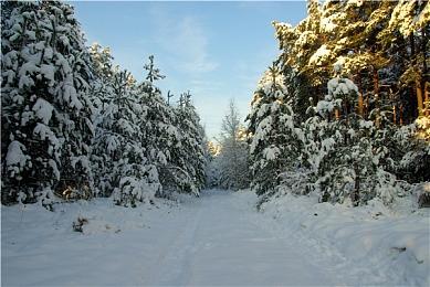 毫无诚意 《魔咒之地》免费推出美甲DLC