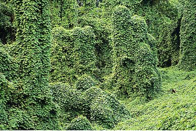 《博德之门3》香艳场景请了亲密协调员指导 更真实浪漫